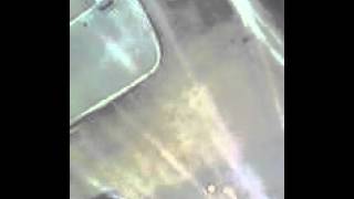 Planting fruit trees and driving Jose s wife and daughter to internet May 4th