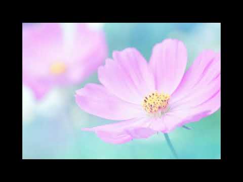 Silent Healing Frequencies 5th Dimension grounding your soul's energy