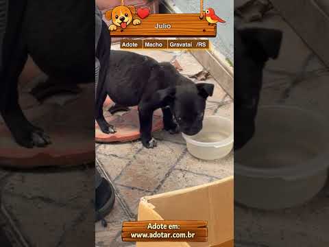 Vídeo de Julio