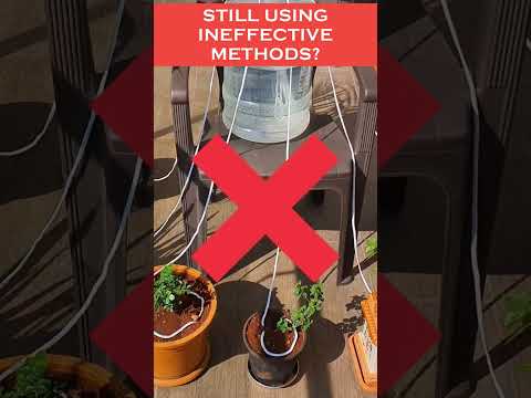 Water Your Plants While On Vacation | #shorts #selfwateringsystem