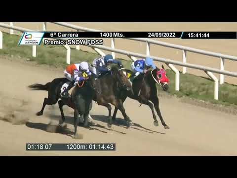 220924 C06 - FLOMIS - HIPODROMO LAS PIEDRAS