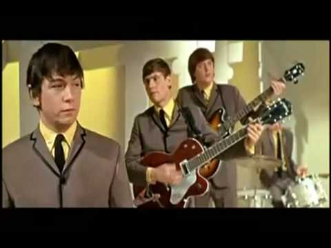The Animals - House of the Rising Sun : Learn