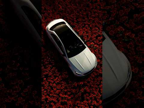 Blender Mercedes Flowers Animation