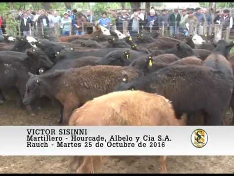25-10-16 Nota Victor Sisinni - Hourcade, Albelo y Cia S.A. - Rauch.