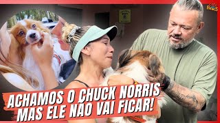 WE FOUND OUR DOG CHUCK NORIS AFTER 3 MONTHS!