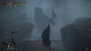 魔術を極めたいエルデンリング[042]