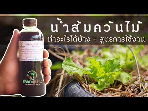 สูตรพร้อมวิธีการใช้น้ำส้มควันไม้ | มีประโยชน์อย่างไร  | ใช้ทำอะไรได้บ้าง