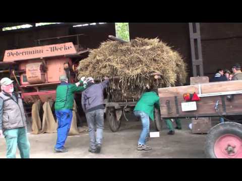 Historischer Dreschtag in Hamm-Rhynern