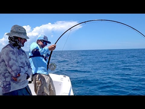 Attempting the Impossible! Goliath Grouper on Fly Fishing Tackle
