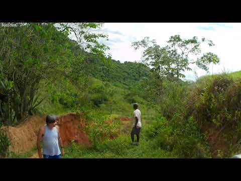 Paisagens da Roça. Sítios. Duas Barras. RJ. 5 Turismo Rural e Natureza #turismoruralenatureza #trn
