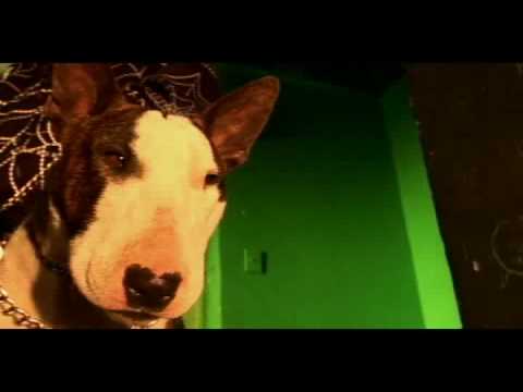 LA DOZIS DEJU   OYE LOKO   MAKEMONO CON DEJU