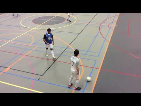 Luxembourg 5.2.2019 Wealins- Carmignac