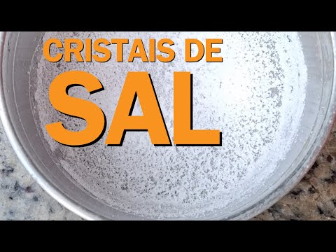 Como fazer Cristal de Sal | Experimento Caseiro