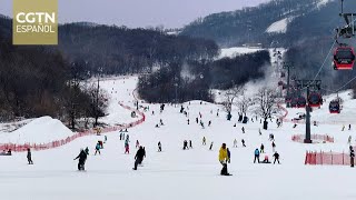 El auge de los deportes de hielo y nieve en China impulsa el crecimiento de la industria