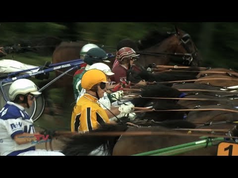 122. Deutsches Traber Derby Mariendorf I Tag 5