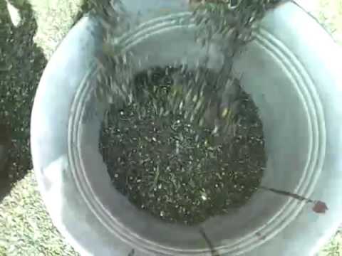 Guru nanak mild steel high capacity multicrop thresher