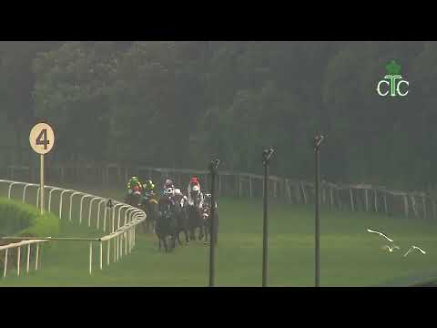 MORANO gewinnt das Tangaroa Handicap