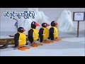 ပင်ဂွင်းများပြိုင်ပွဲ Pingu S Sledge Academy Ep131 Kid S C