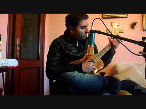 (gosto tanto de vocè) Frank tenor ukulele performed by daniele siclari