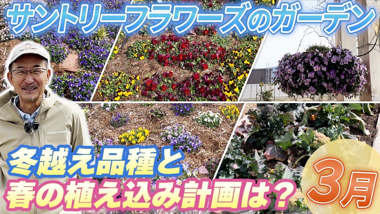 【サントリーフラワーズガーデン】　早春3月のガーデンの様子