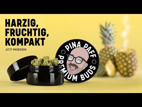 Plusmacher x Happy420 - Pina Paff