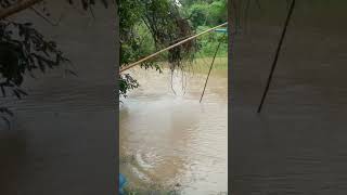 ยกสะดุ้งกลางสายฝน ปลาเข้าดีมาก ได้ปลาเกินคาด