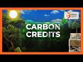 The Explainer The Carbon Credits Trade Broken Down
