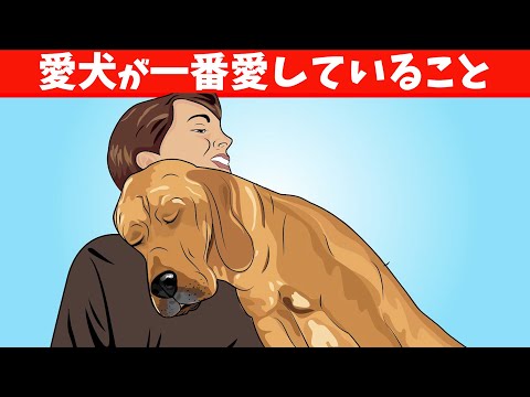 犬が好きな10のこと
