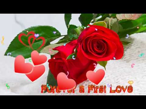 Mãi một mối tình đầu