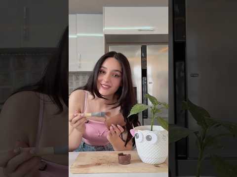 Don’t watch YouTube with your plant buddy🥲🪴@patrickzeinali ❤️