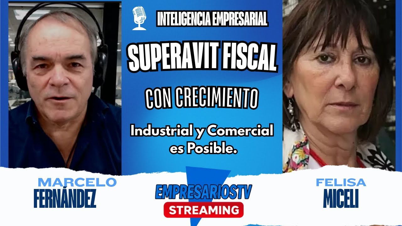 Superávit Fiscal con Crecimiento Industrial y Comercial, explica el como, Felisa Miceli, ExMinistra