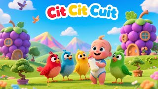 Download lagu CIT CIT CUIT BURUNG BERNYANYI - LAGU ANAK BALITA INDONESIA - LAGU ANAK POPULER | Kids MoY mp3 Download lagu CIT CIT CUIT BURUNG BERNYANYI - LAGU ANAK BALITA INDONESIA - LAGU ANAK POPULER | Kids MoY mp3