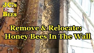 preview picture of video 'Remove & Relocate: Honey Bees In The Wall'