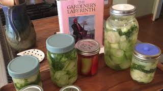 Pickling bottle gourds - day 2 - Medieval English style