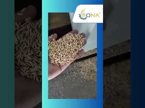 Stone Separator