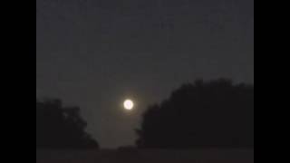Rising Super Sized Moon Supermoon Do you find a UFO? Lemme know.