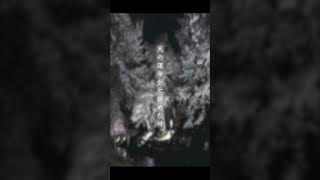 【新人Vtuberお披露目！】第四章「とうふ小僧」 #新人vtuber