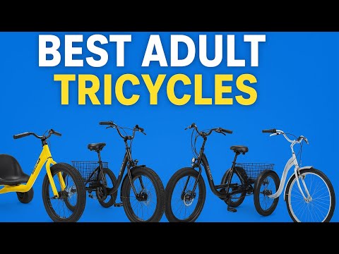 Top 5 Best Adult Tricycles 2025