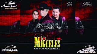 Quisiera Ser - Miguel Y Miguel
