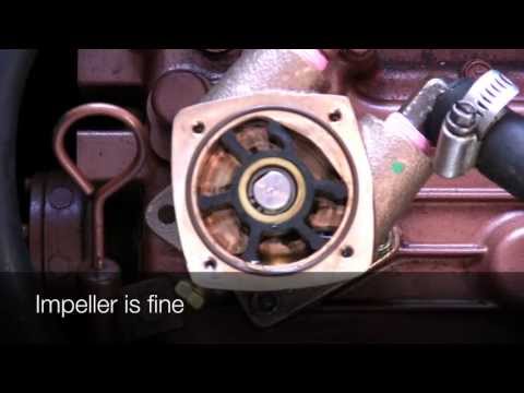 Universal diesel raw water pump relacement