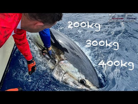 Pêche du thon rouge à Tenerife - YFS Tuna Fishing 2022
