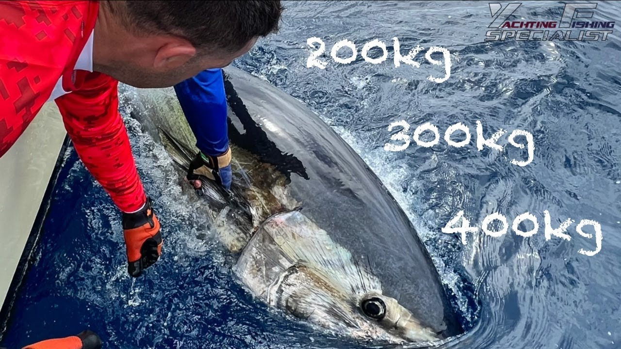 Test tournament