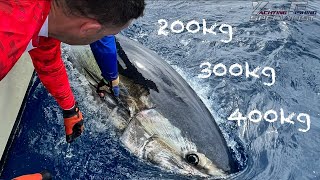 YFS Tuna Fishing 2022 - Tenerife