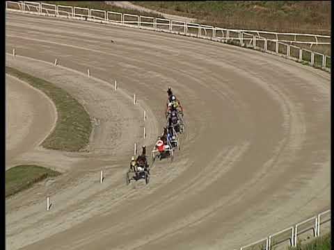 Trotto 04/12/2018 - prova di qualifica