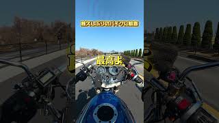 夫婦ツーリング嫁歓喜😆#shorts #夫婦#ツーリング#バリオス#琵琶湖#滋賀