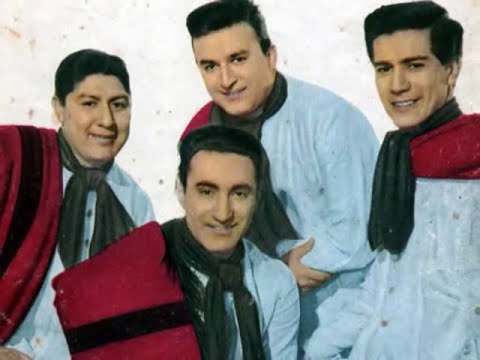Gaviota De Puerto - Los Fronterizos