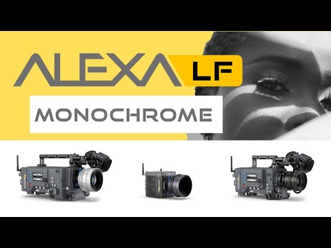 WHY? ARRI Alexa Monochrome!