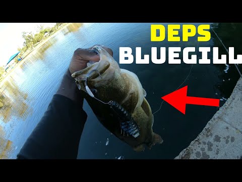 Watch This Deps Bluegill Bait Is Super Underrated For Pressured Bass! Video  on