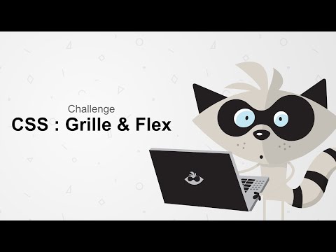 Coding Challenge HTML CSS Grille et Flex