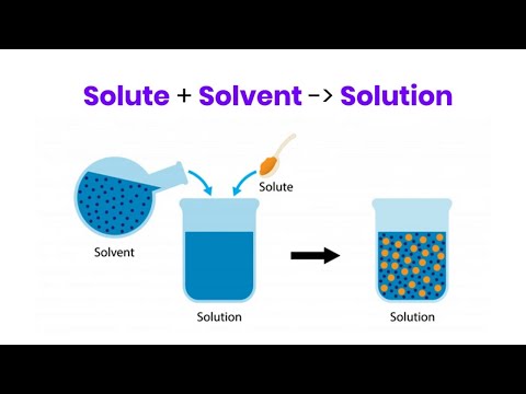 What is the difference between a solution, solute and solvent? | EduBytes